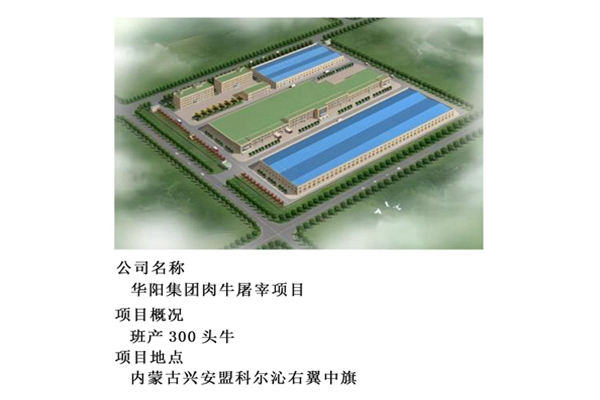 华阳